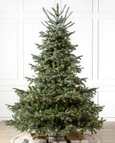 European Fir Christmas Tree with Articulated Branches, Metal Stand and Built-in Micro LEDs