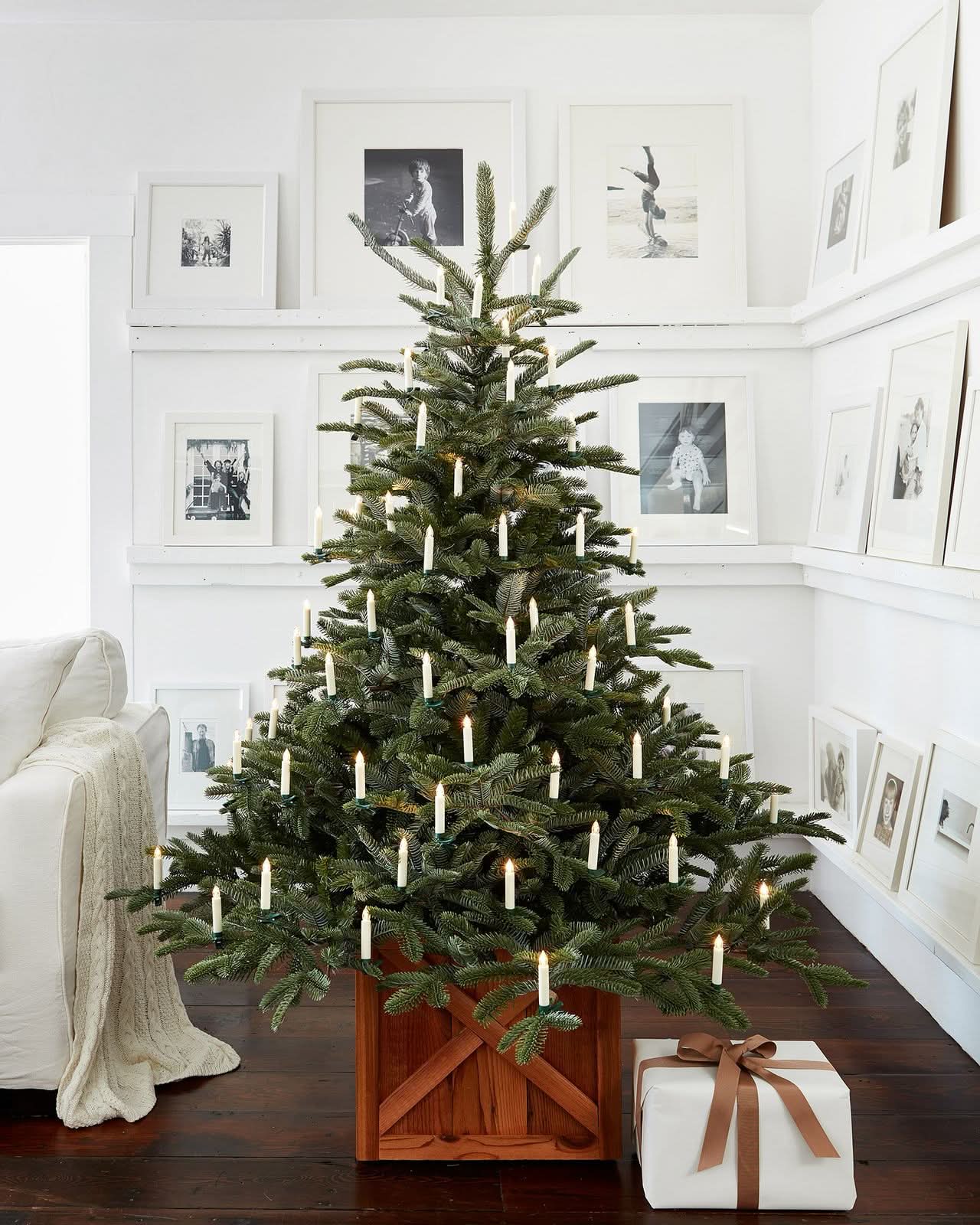 European Fir Christmas Tree with Articulated Branches, Metal Stand and Built-in Micro LEDs