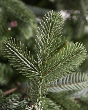 European Fir Christmas Tree with Articulated Branches, Metal Stand and Built-in Micro LEDs